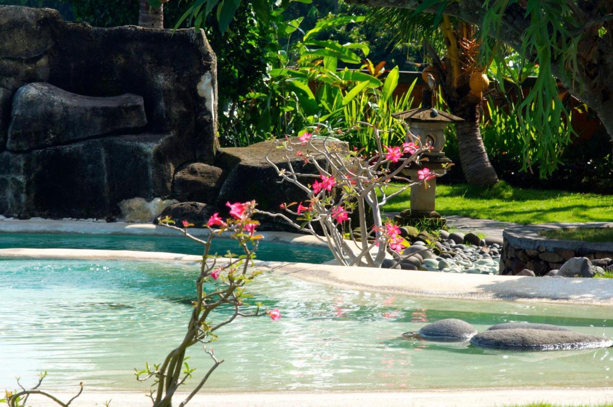 Villa Bali Pondok Jepang Lovina Εξωτερικό φωτογραφία
